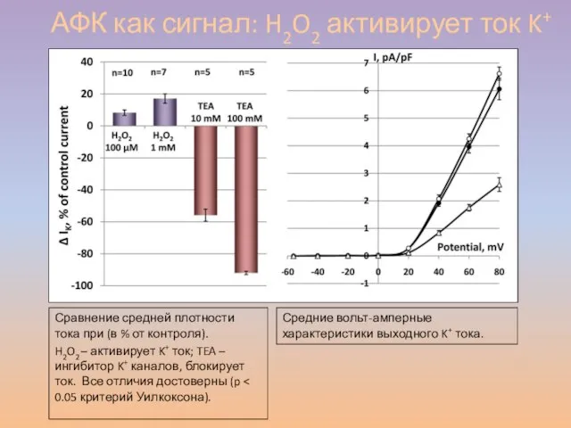 АФК как сигнал: H2O2 активирует ток K+ Сравнение средней плотности тока при