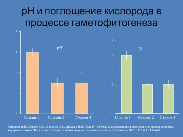 рН и поглощение кислорода в процессе гаметофитогенеза рН Стадия 1 Стадия 2