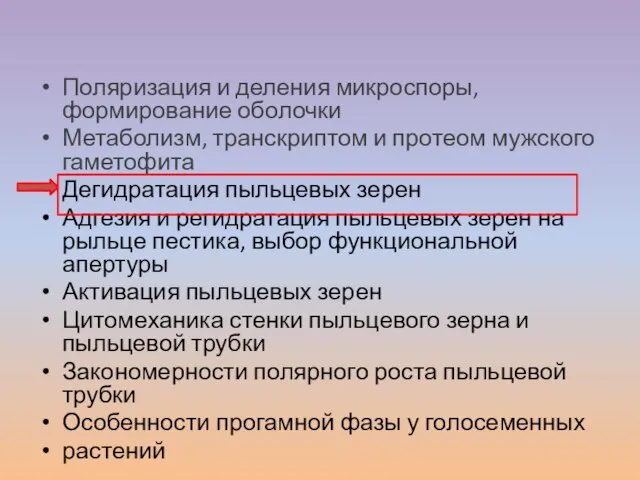 Поляризация и деления микроспоры, формирование оболочки Метаболизм, транскриптом и протеом мужского гаметофита