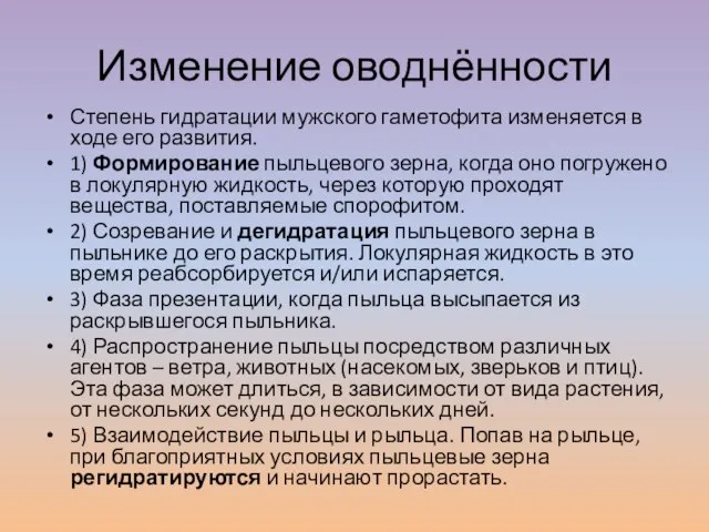 Изменение оводнённости Степень гидратации мужского гаметофита изменяется в ходе его развития. 1)