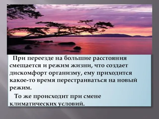 При переезде на большие расстояния смещается и режим жизни, что создает дискомфорт