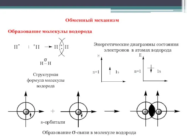 Обменный механизм Образование молекулы водорода s-орбитали Энергетические диаграммы состояния электронов в атомах