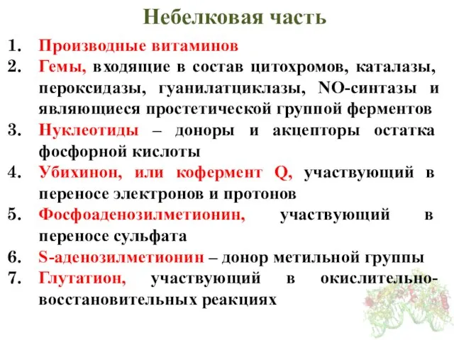 Небелковая часть Производные витаминов Гемы, входящие в состав цитохромов, каталазы, пероксидазы, гуанилатциклазы,