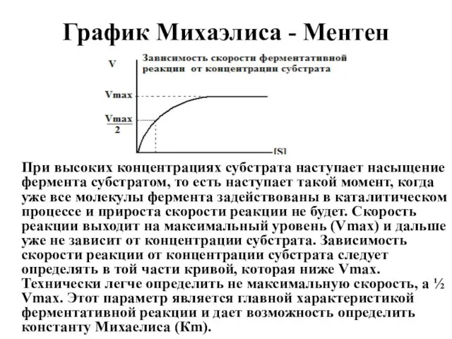 График Михаэлиса - Ментен При высоких концентрациях субстрата наступает насыщение фермента субстратом,