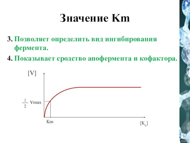 Значение Km 3. Позволяет определить вид ингибирования фермента. 4. Показывает сродство апофермента и кофактора.