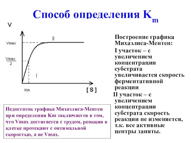 Способ определения Km Построение графика Михаэлиса-Ментен: I участок – с увеличением концентрации