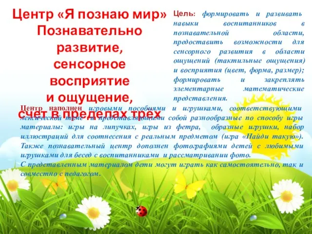 Центр «Я познаю мир» Познавательно развитие, сенсорное восприятие и ощущение, счет в