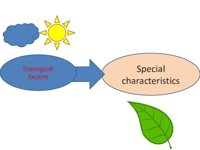 Special characteristics Ecological factors