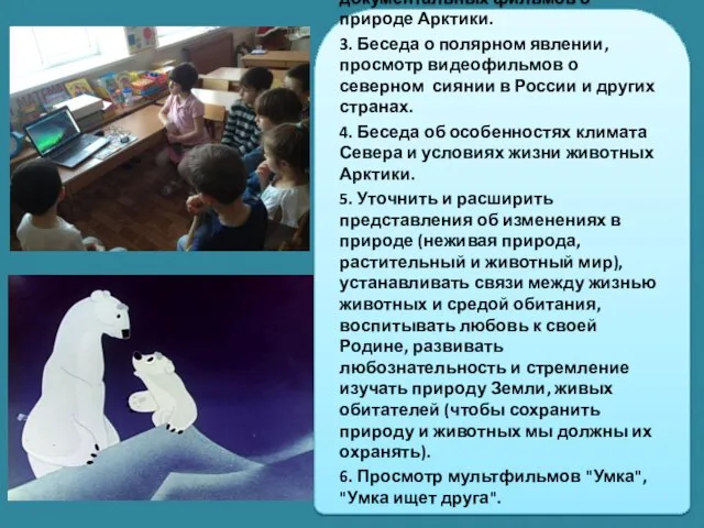 2. Просмотр познавательных документальных фильмов о природе Арктики. 3. Беседа о полярном