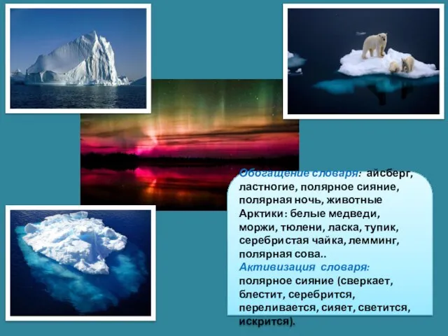 Обогащение словаря: айсберг, ластногие, полярное сияние, полярная ночь, животные Арктики: белые медведи,