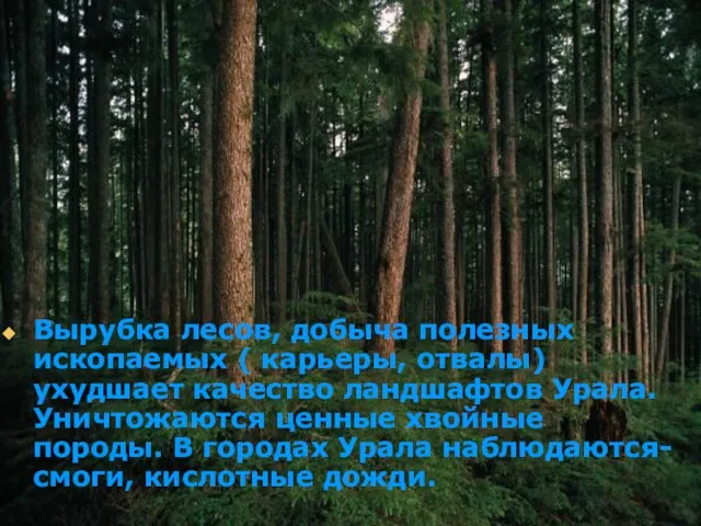 Вырубка лесов, добыча полезных ископаемых ( карьеры, отвалы) ухудшает качество ландшафтов Урала.