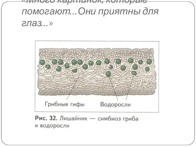 «Много картинок, которые помогают…Они приятны для глаз…»