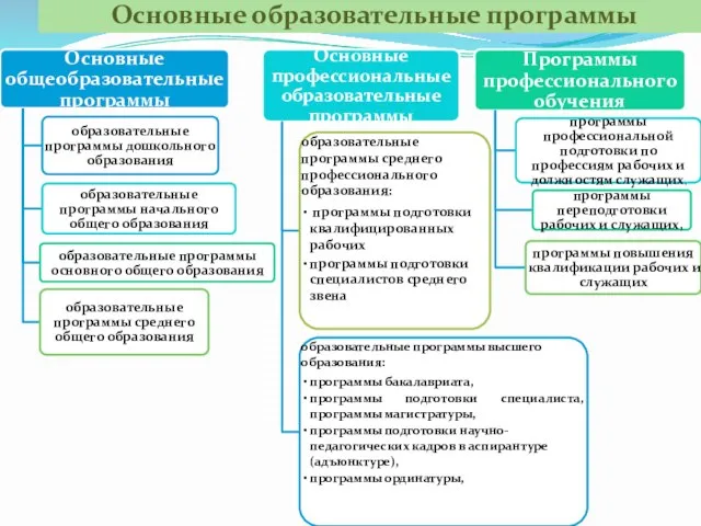 Основные образовательные программы