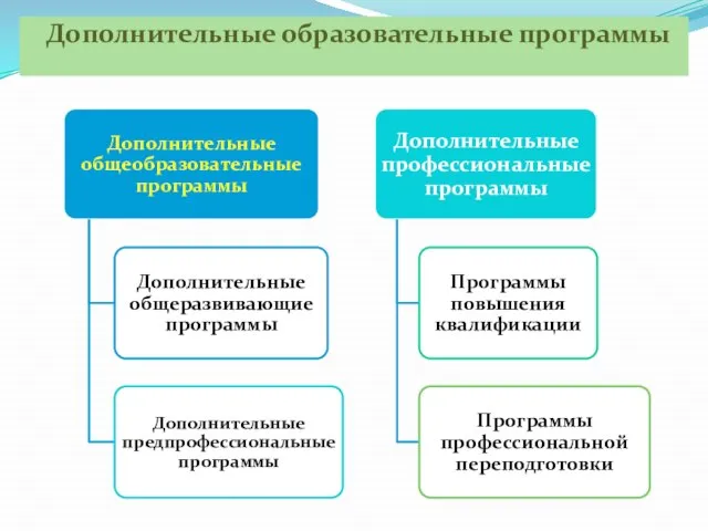 Дополнительные образовательные программы