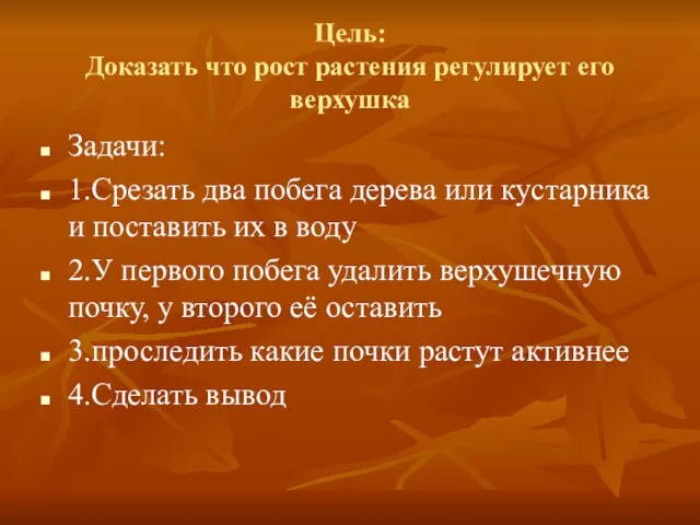 Цель: Доказать что рост растения регулирует его верхушка Задачи: 1.Срезать два побега