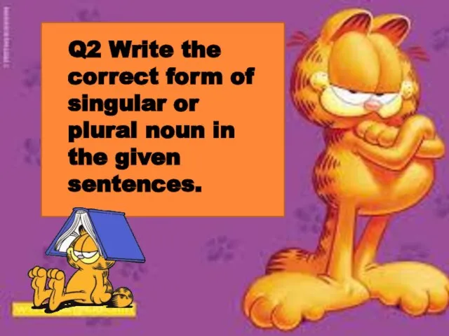 Q2 Write the correct form of singular or plural noun in the given sentences.