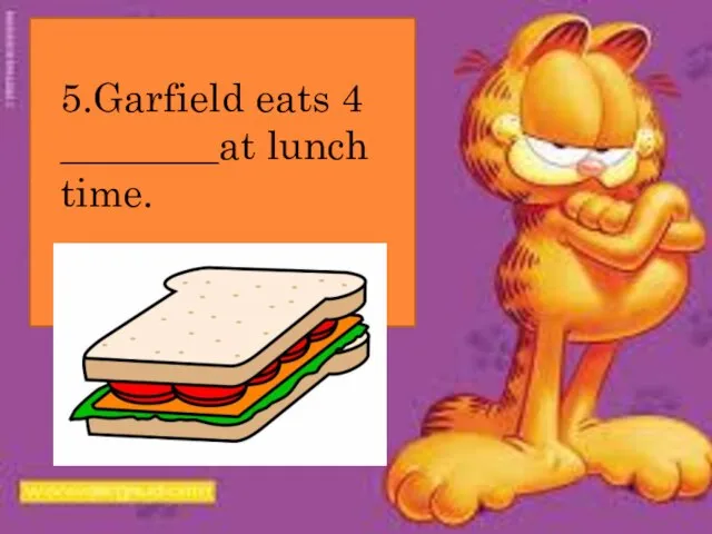 5.Garfield eats 4 ________at lunch time.