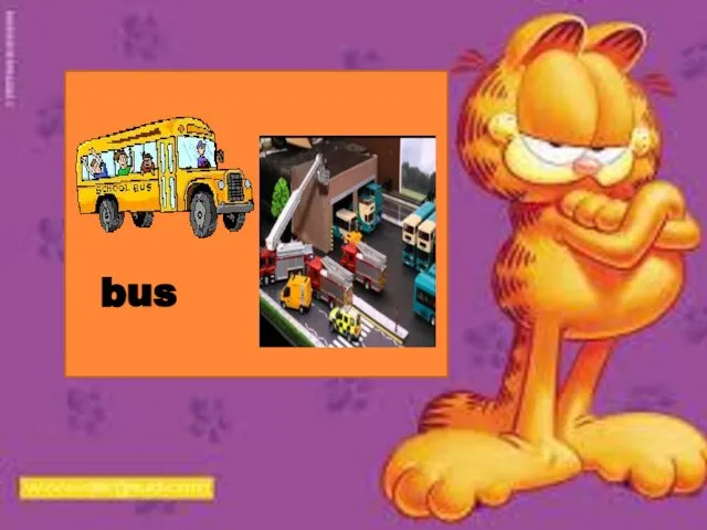 bus