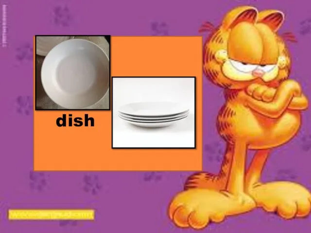 dish