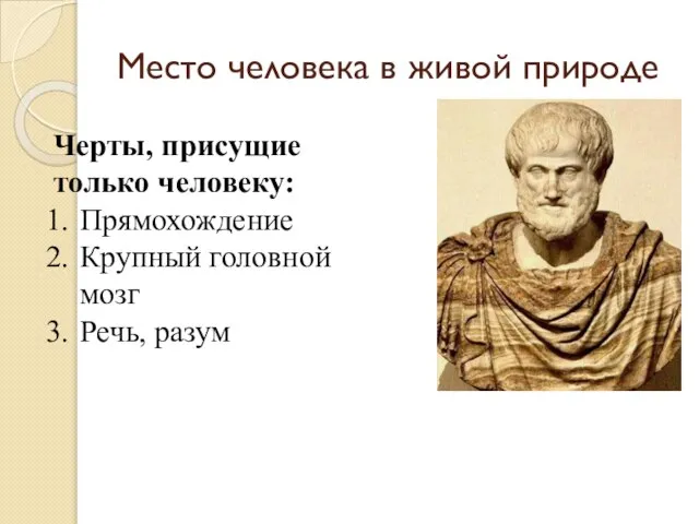 Место человека в живой природе Черты, присущие только человеку: Прямохождение Крупный головной мозг Речь, разум