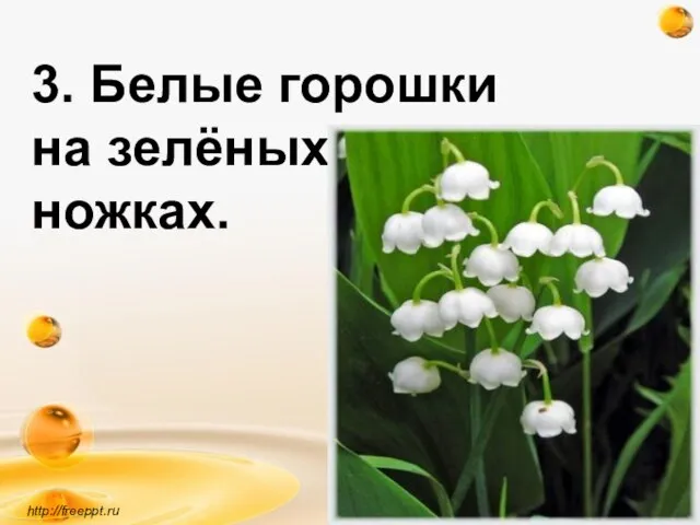 3. Белые горошки на зелёных ножках. http://freeppt.ru