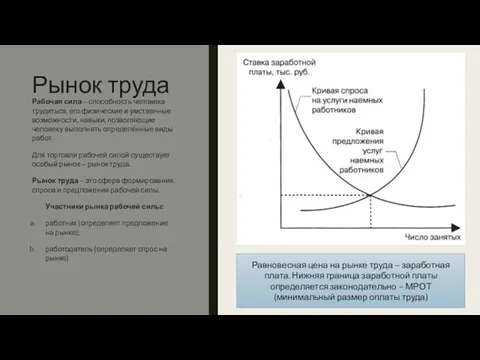 Рынок труда Рабочая сила – способность человека трудиться, его физические и умственные