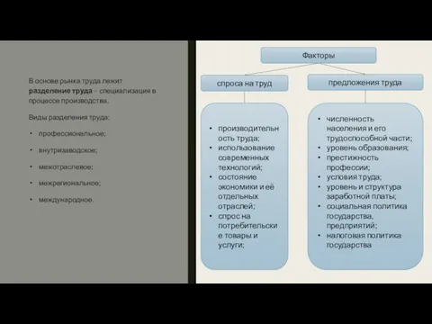 В основе рынка труда лежит разделение труда – специализация в процессе производства.