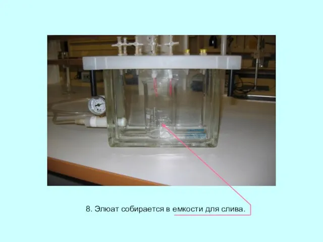 8. Элюат собирается в емкости для слива.