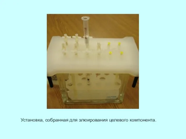 Установка, собранная для элюирования целевого компонента.