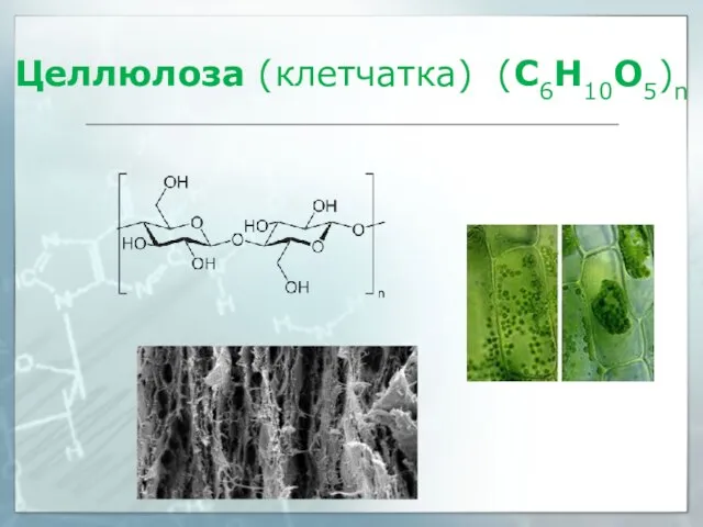 Целлюлоза (клетчатка) (C6H10O5)n