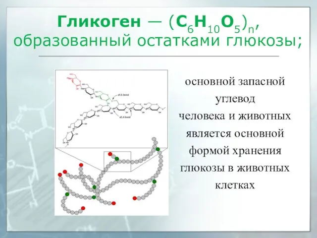 Гликоген — (C6H10O5)n, образованный остатками глюкозы; основной запасной углевод человека и животных