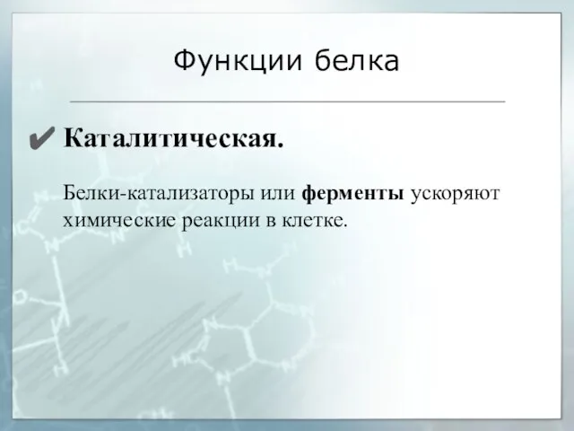 Функции белка Каталитическая. Белки-катализаторы или ферменты ускоряют химические реакции в клетке.