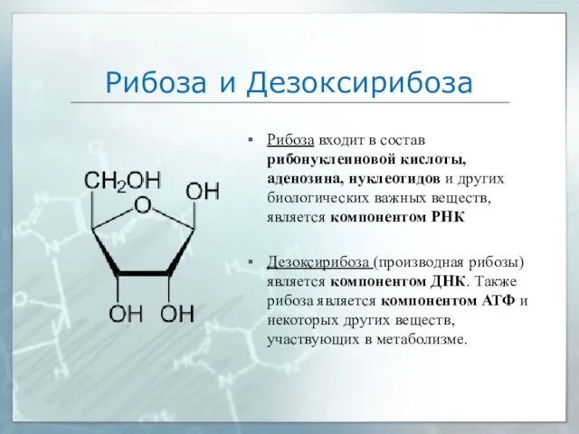 Рибоза и Дезоксирибоза Рибоза входит в состав рибонуклеиновой кислоты, аденозина, нуклеотидов и