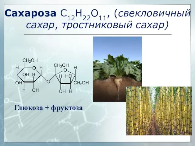 Сахароза C12H22O11, (свекловичный сахар, тростниковый сахар) Глюкоза + фруктоза