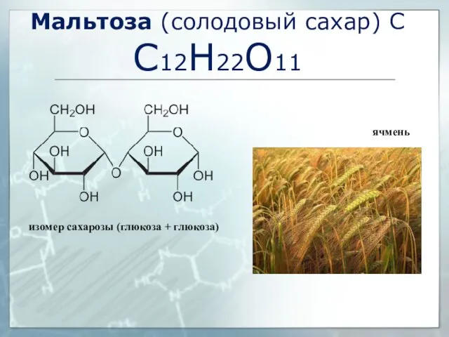 Мальтоза (солодовый сахар) С С12Н22О11 изомер сахарозы (глюкоза + глюкоза) ячмень