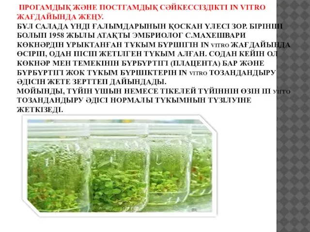 ПРОГАМДЫҚ ЖӘНЕ ПОСТГАМДЫҚ СӘЙКЕССІЗДІКТІ IN VITRO ЖАҒДАЙЫНДА ЖЕҢУ. БҰЛ САЛАДА ҮНДІ ҒАЛЫМДАРЫНЫН