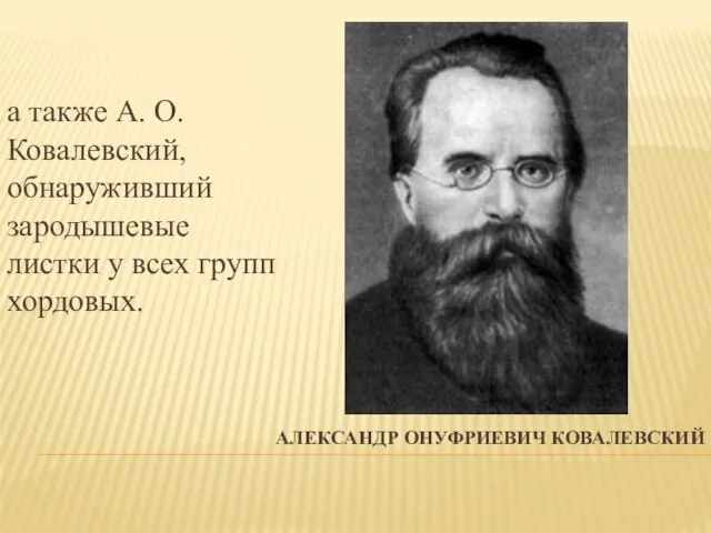 АЛЕКСАНДР ОНУФРИЕВИЧ КОВАЛЕВСКИЙ а также А. О. Ковалевский, обнаруживший зародышевые листки у всех групп хордовых.