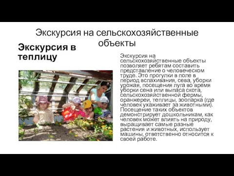 Экскурсия на сельскохозяйственные объекты Экскурсия в теплицу Экскурсия на сельскохозяйственные объекты позволяет