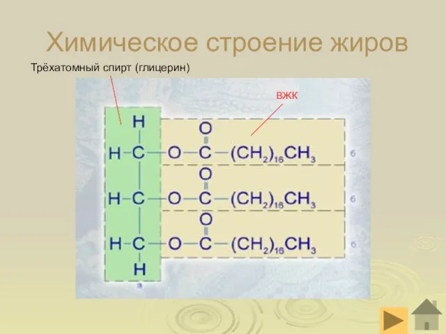 Химическое строение жиров Трёхатомный спирт (глицерин) ВЖК