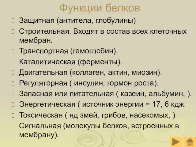 Функции белков Защитная (антитела, глобулины) Строительная. Входят в состав всех клеточных мембран.