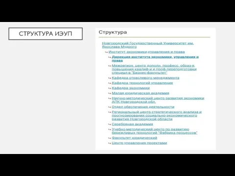 СТРУКТУРА ИЭУП