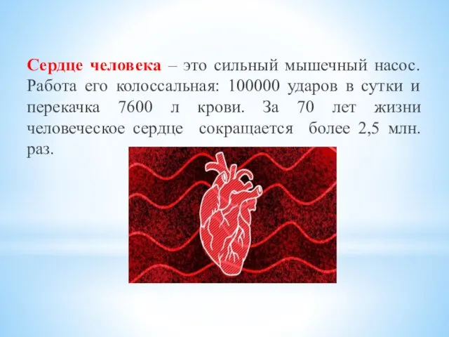 Сердце человека – это сильный мышечный насос. Работа его колоссальная: 100000 ударов