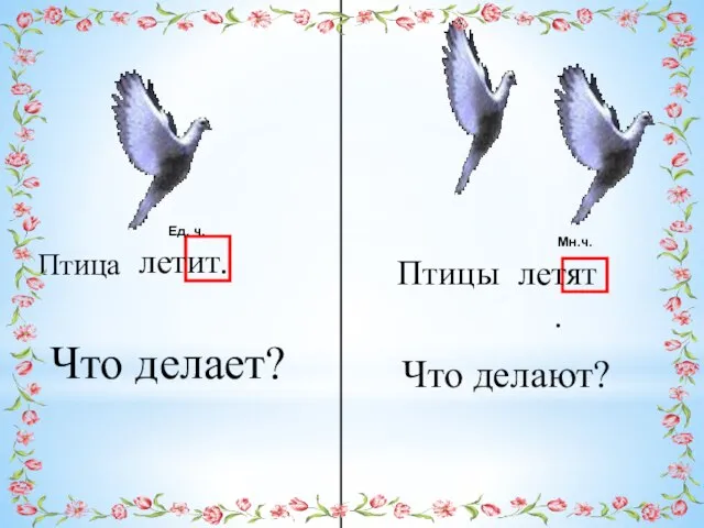 Ед. ч. Мн.ч. Птица Птицы летит. Что делает? летят. Что делают?