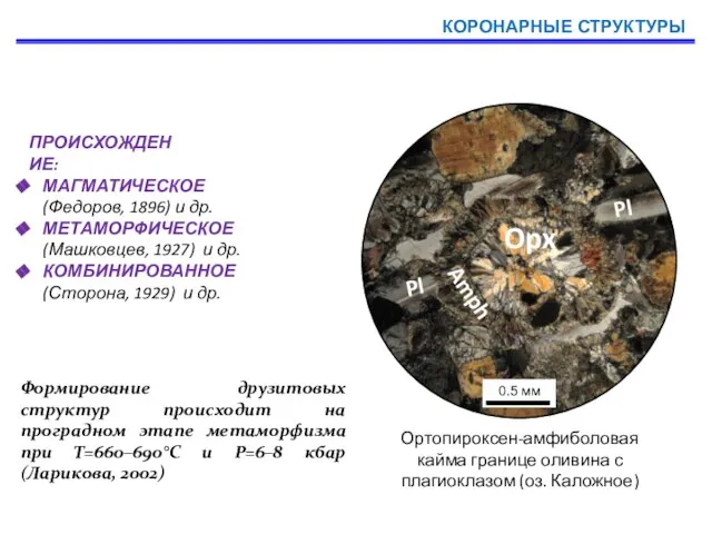 Ортопироксен-амфиболовая кайма границе оливина с плагиоклазом (оз. Каложное) ПРОИСХОЖДЕНИЕ: МАГМАТИЧЕСКОЕ (Федоров, 1896)