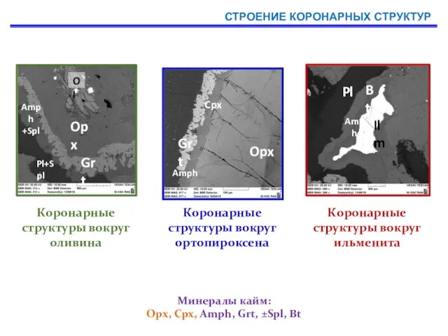 СТРОЕНИЕ КОРОНАРНЫХ СТРУКТУР Минералы кайм: Орх, Срх, Amph, Grt, ±Spl, Bt Коронарные