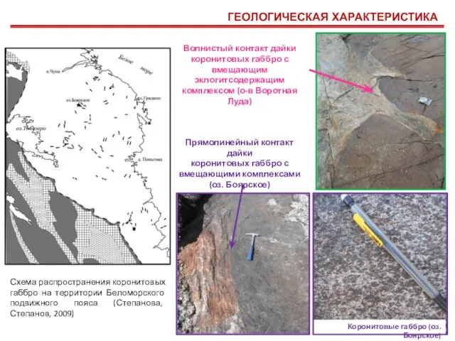 ГЕОЛОГИЧЕСКАЯ ХАРАКТЕРИСТИКА Схема распространения коронитовых габбро на территории Беломорского подвижного пояса (Степанова,