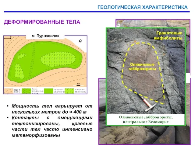 ДЕФОРМИРОВАННЫЕ ТЕЛА Характер контакта габброноритов КЛГН с вмещающими гнейсами Мощность тел варьирует