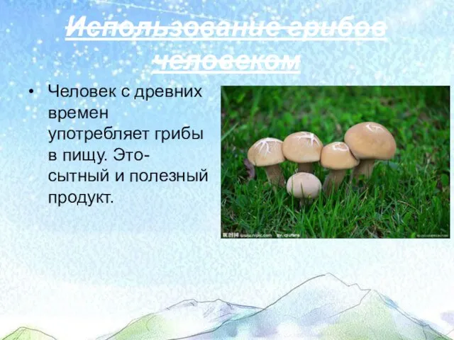 Использование грибов человеком Человек с древних времен употребляет грибы в пищу. Это- сытный и полезный продукт.