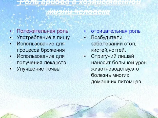 Роль грибов в хозяйственной жизни человека Положительная роль Употребление в пищу Использование