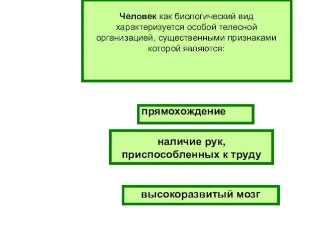 Человек как биологический вид характеризуется особой телесной организацией, существенными признаками которой являются: